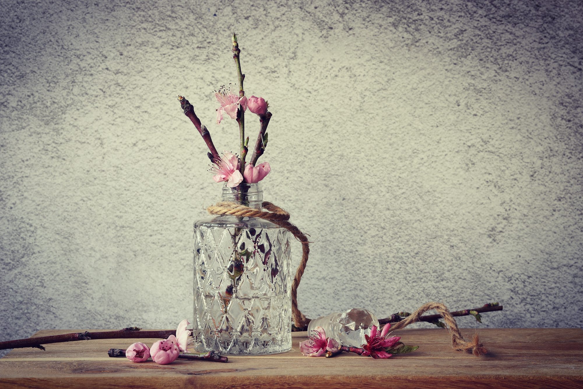 Still life photo 1