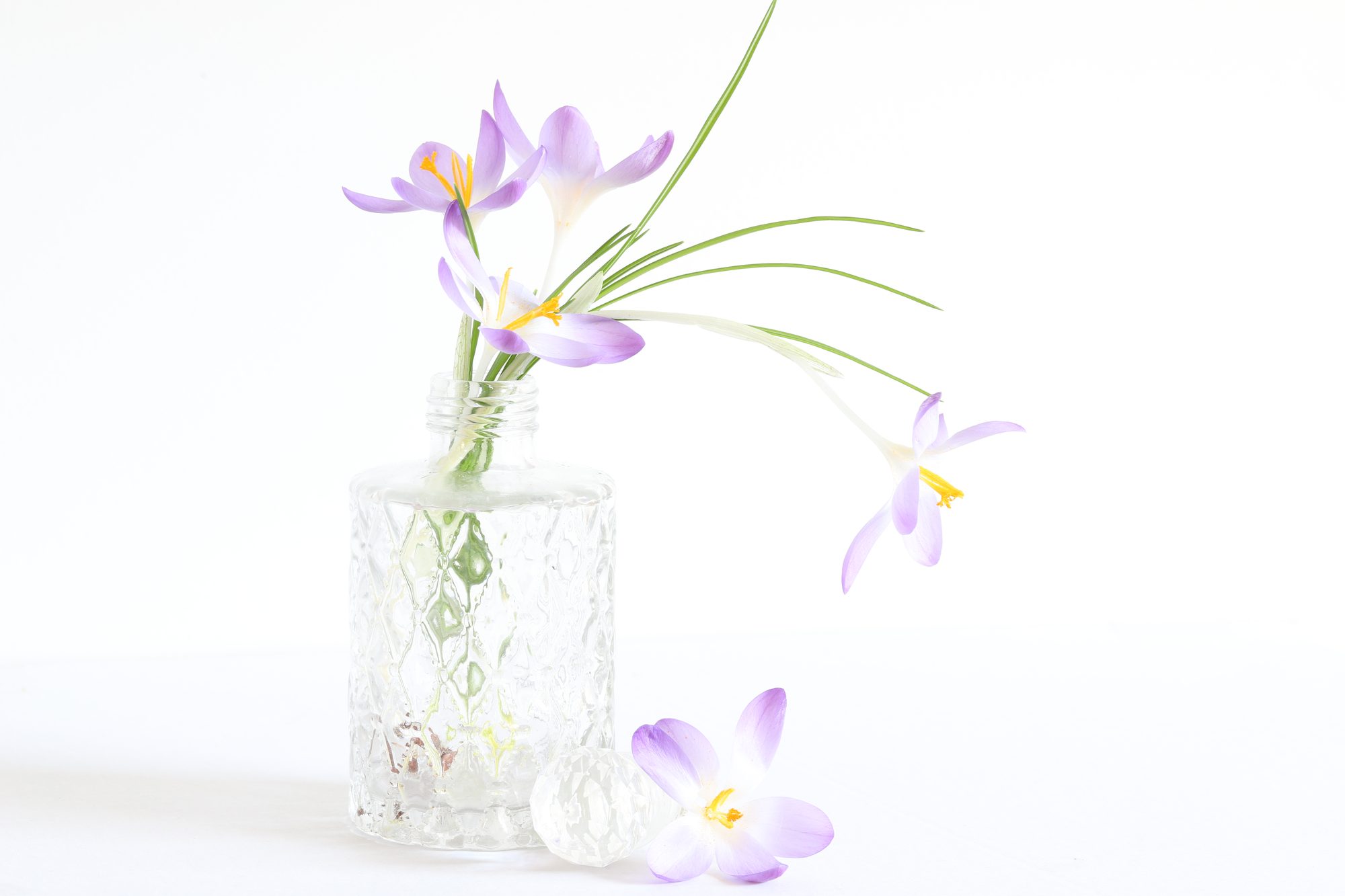 Still life photo 3