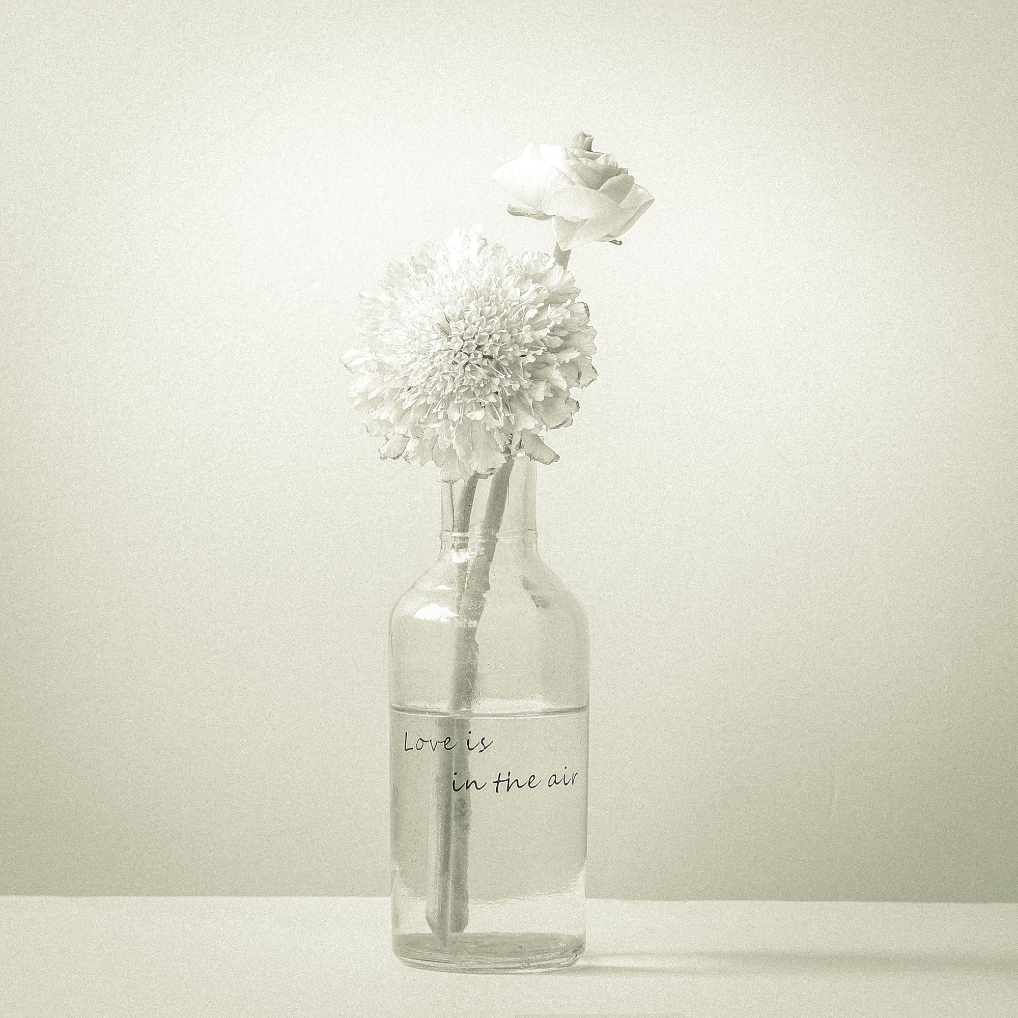 Still life photo 4