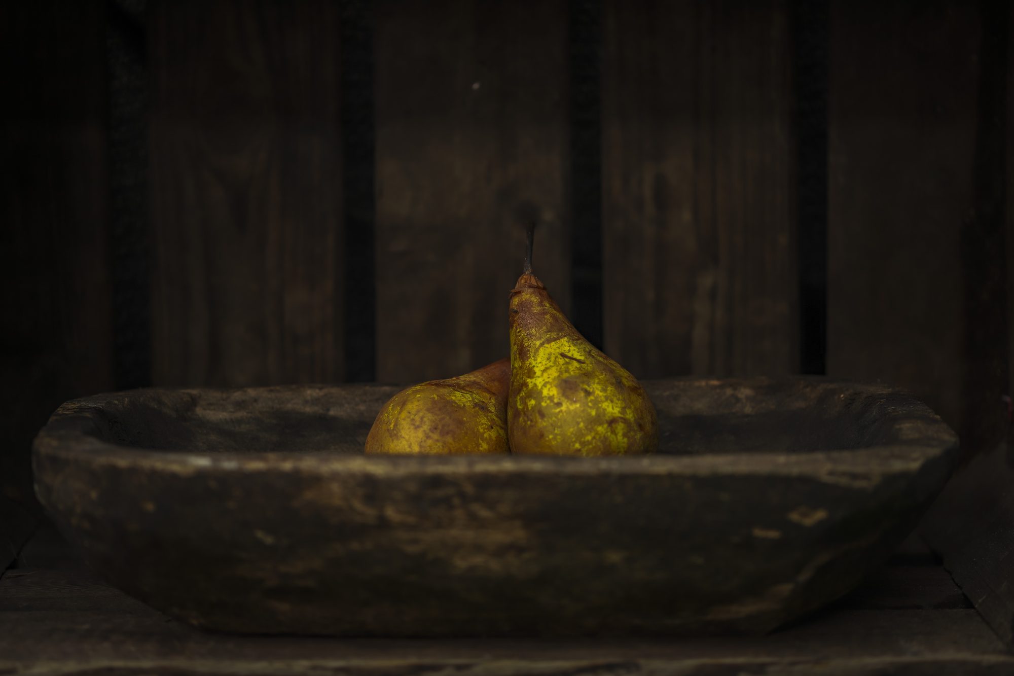 Still life photo 5
