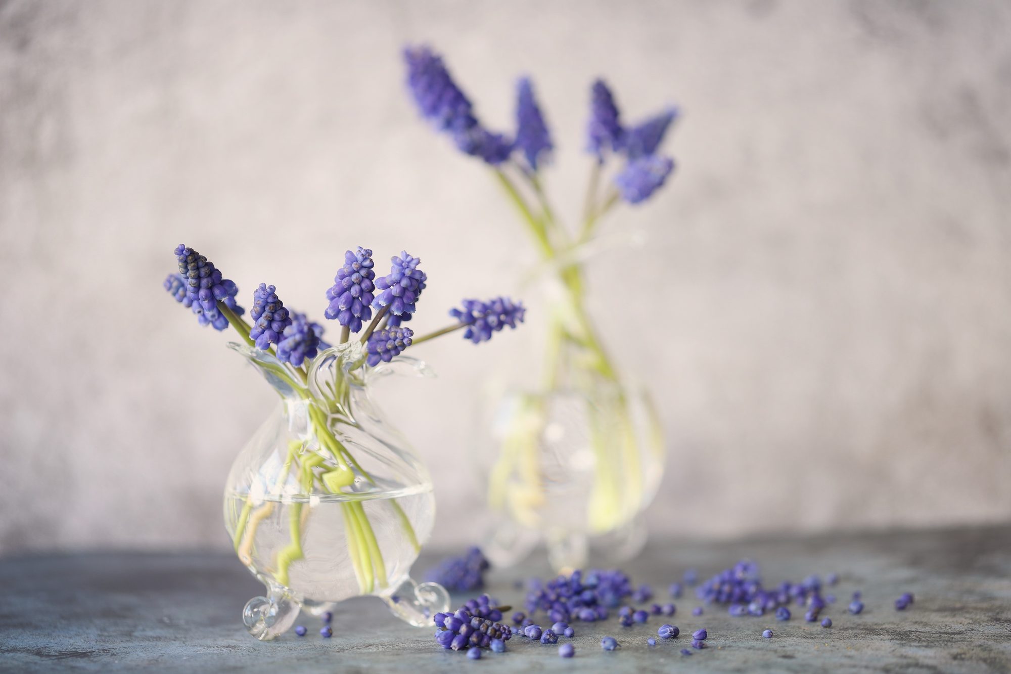 Still life photo 6