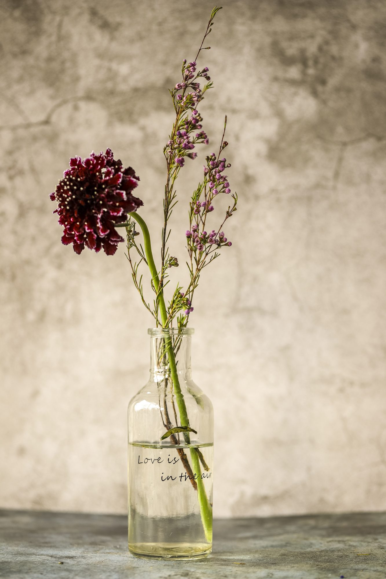 Still life photo 7
