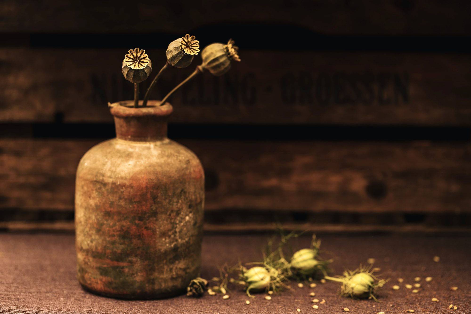 Still life photo 8
